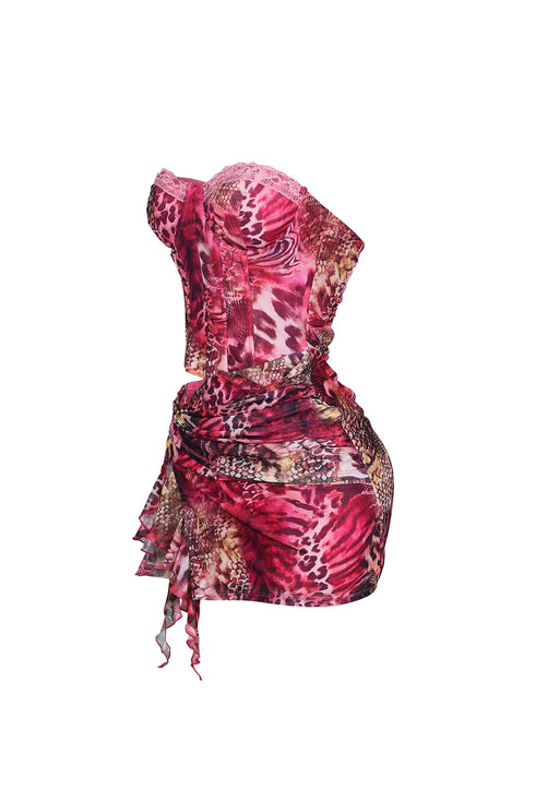 Yumiko Mesh Corset Tube Mini Dress